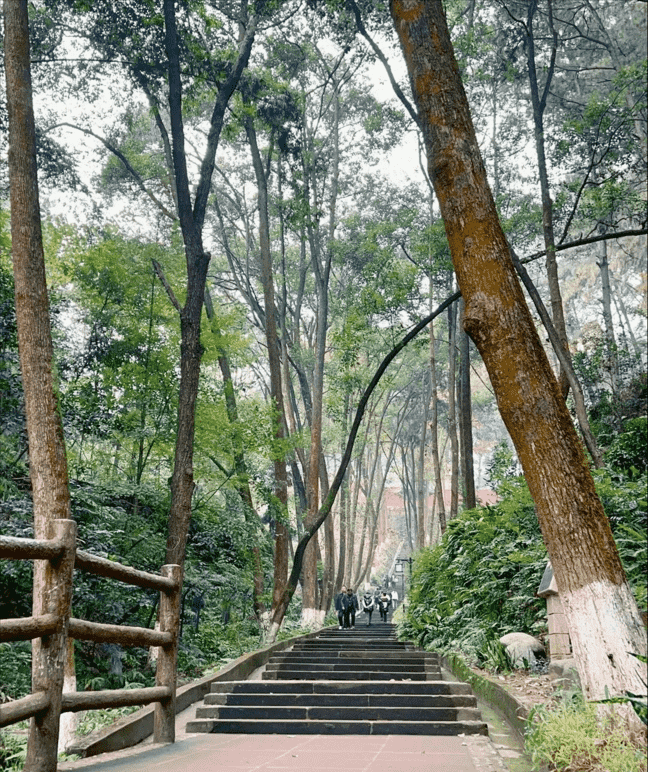 成都周边景点（成都有什么特色景点）