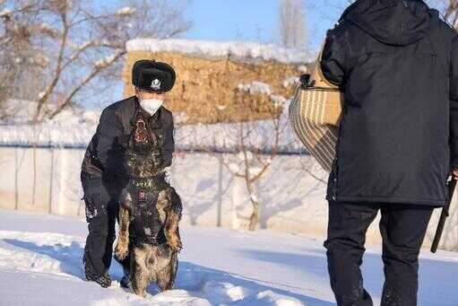 犬（100种狗狗）