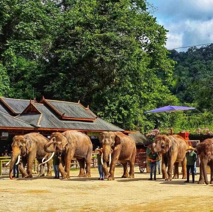 云南西双版纳旅游（现在去西双版纳旅游需要隔离吗）