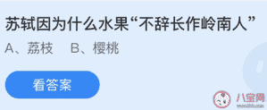 不辞长作岭南人全诗（不作岭南人是出自谁的诗）