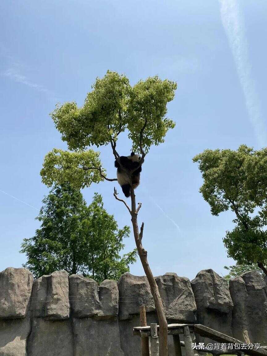 上海旅游必去景点（上海旅游必去景点有哪些）