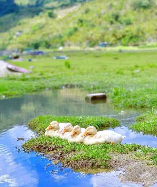 万宁景点（万宁十大旅游景区）