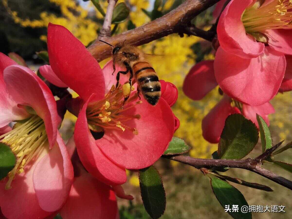 祝福老师的诗句（教师节祝福老师的诗句古诗）