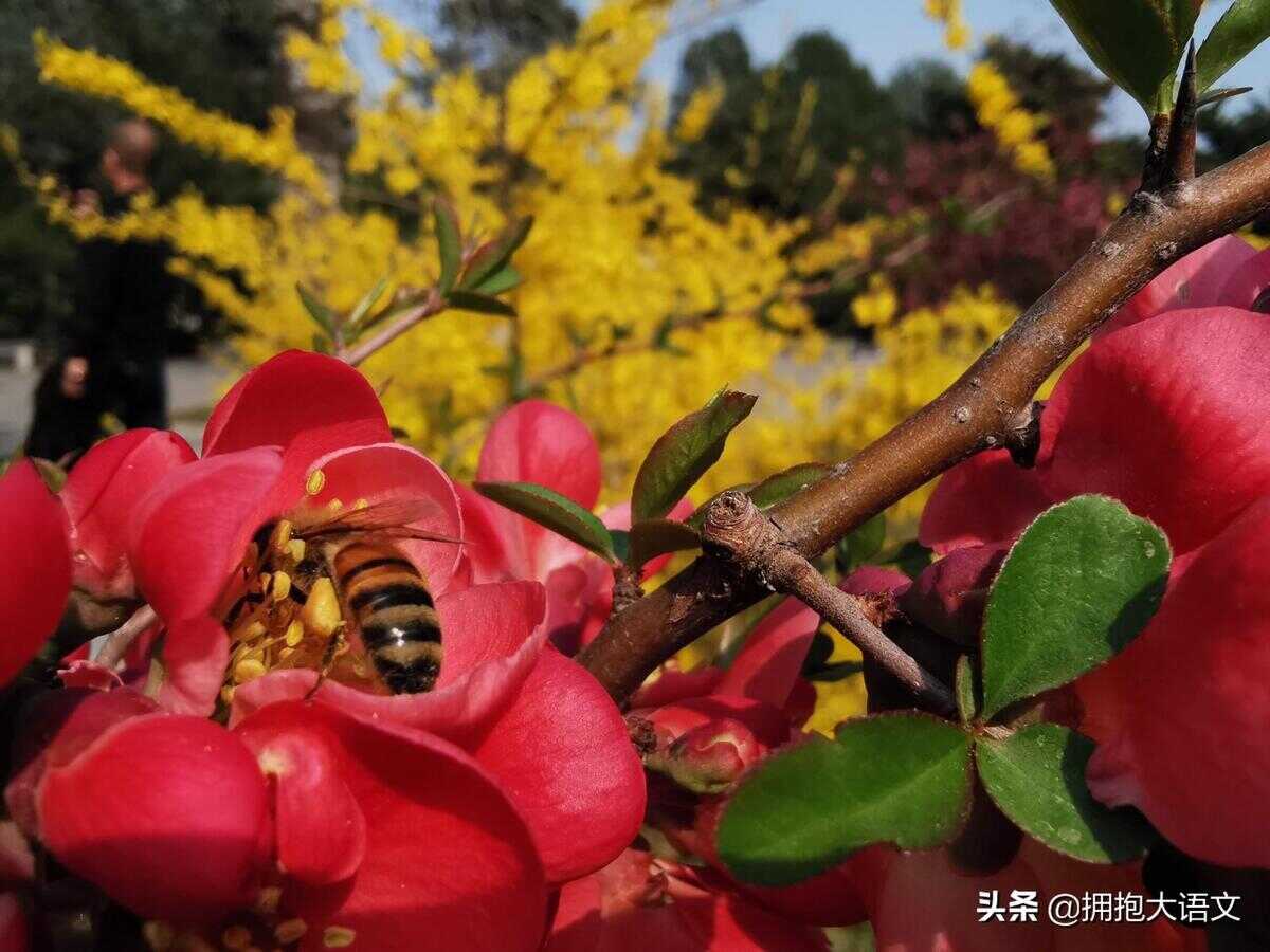 祝福老师的诗句（教师节祝福老师的诗句古诗）