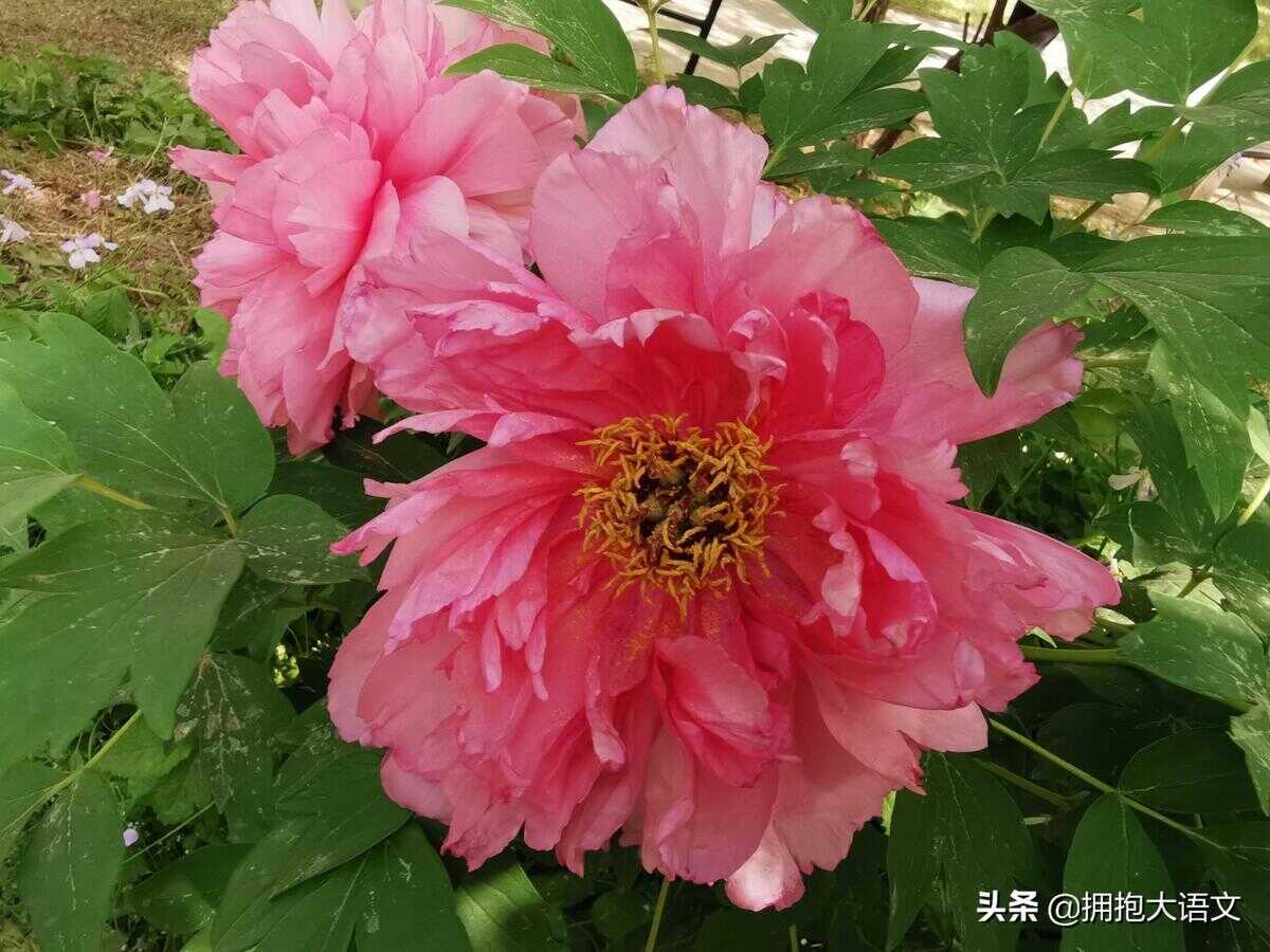 祝福老师的诗句（教师节祝福老师的诗句古诗）