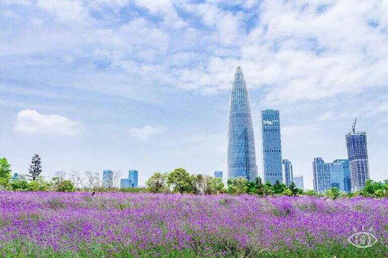 深圳最好玩的地方（深圳适合年轻人玩的地方）