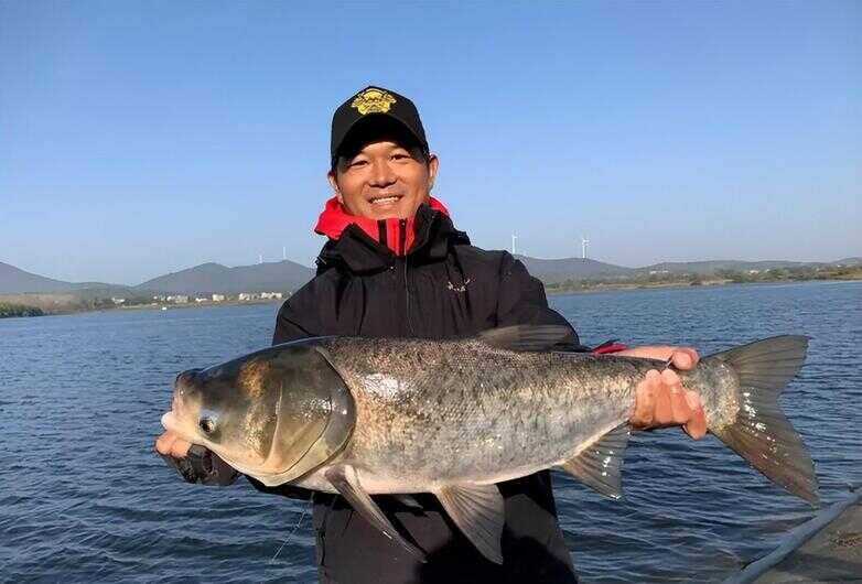 聂小雨三分钟视频（黑龙江省委副书记梁慧玲）