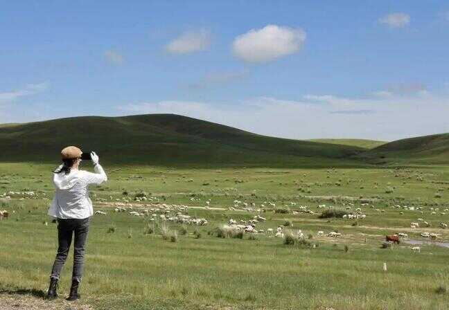 哪个草原适合旅游（去草原旅游要注意什么）