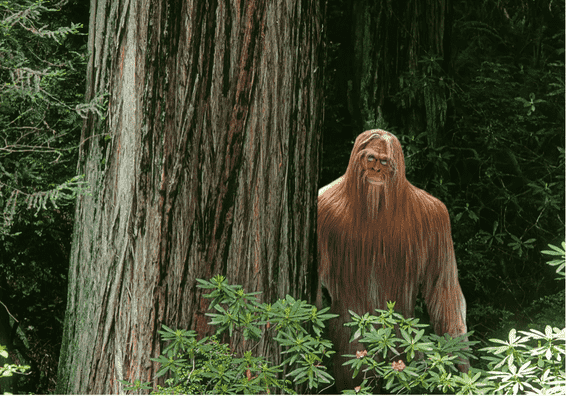 山羊人（山羊人吃人的视频）