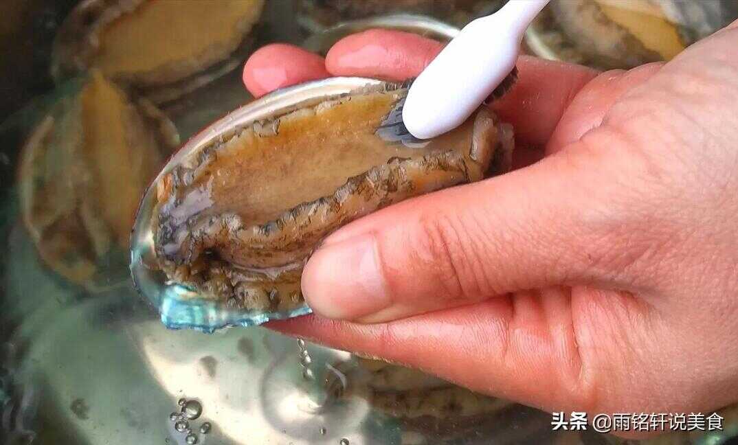 鲍鱼怎么做（怎样清洗鲍鱼最快最干净）