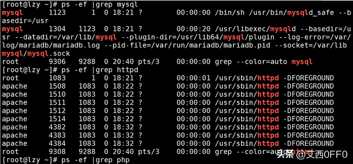 如何使用linux搭建论坛网站（怎么搭建linux系统）