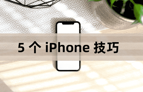 iPhone6Plus怎么截屏/截图（iphone8plus怎么截长图）