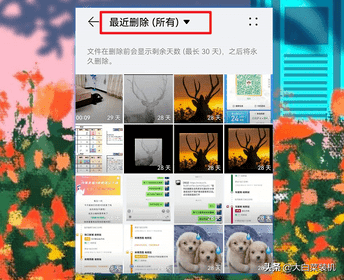 手机apk文件怎么打开（ios下载了apk文件怎么安装）