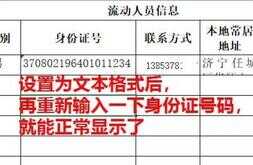 电子表格中身份证出现E 怎样转成正常（身份证号输入表格怎么成了带E的）