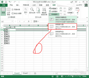 怎么冻结excel表格窗口（excel如何冻结指定行）