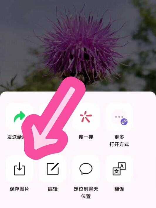 微信如何发原图照片（微信发原图对方不显示原图）