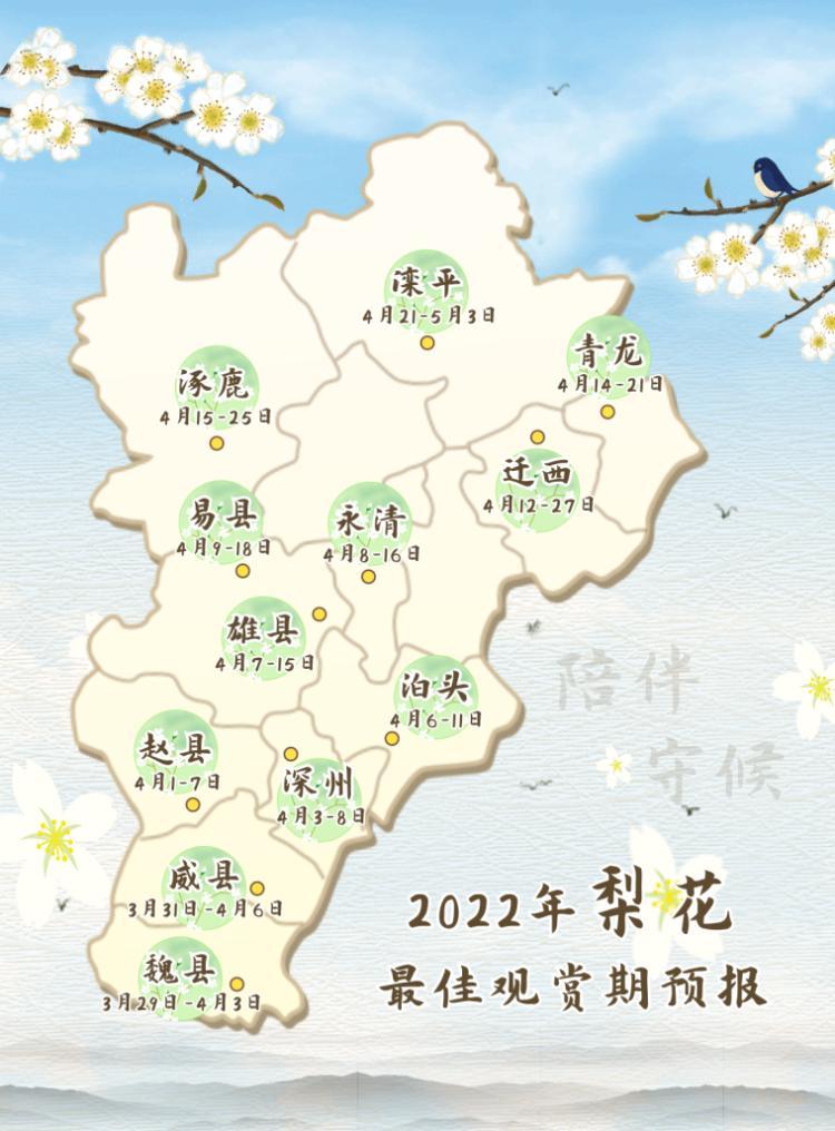 梨花什么时候开（2023年梨花什么时候开花）