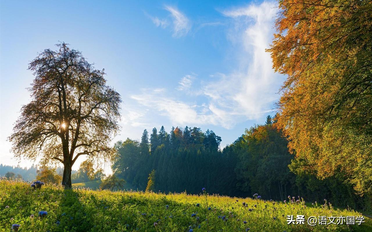 厚此薄彼是什么意思（女生对你说厚此薄彼什么意思）