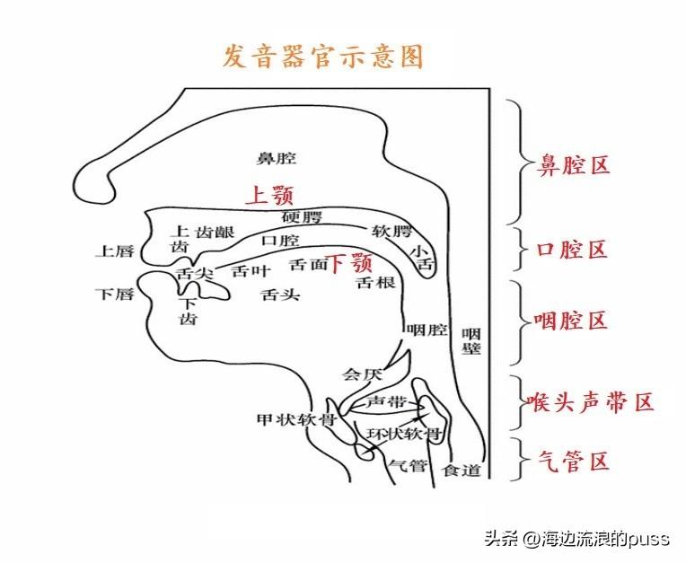 “打更”、“三更半夜”中的“更”到底怎么读呢？