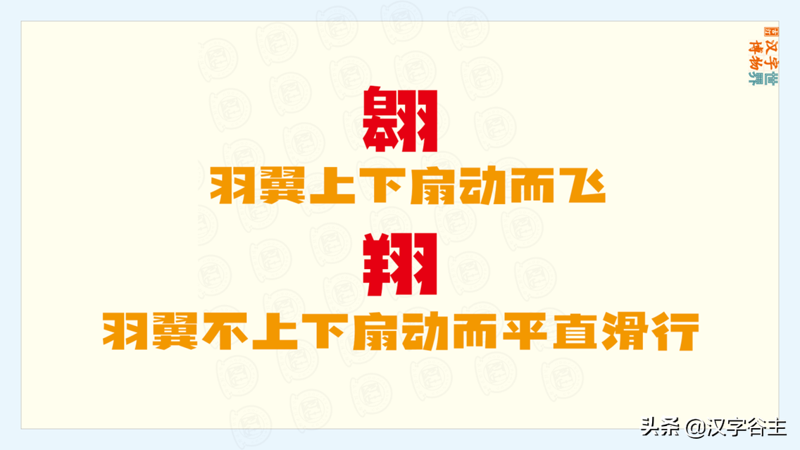 苏翊鸣的“翊”字是什么意思？用来表达鸟飞行时的哪种状态？