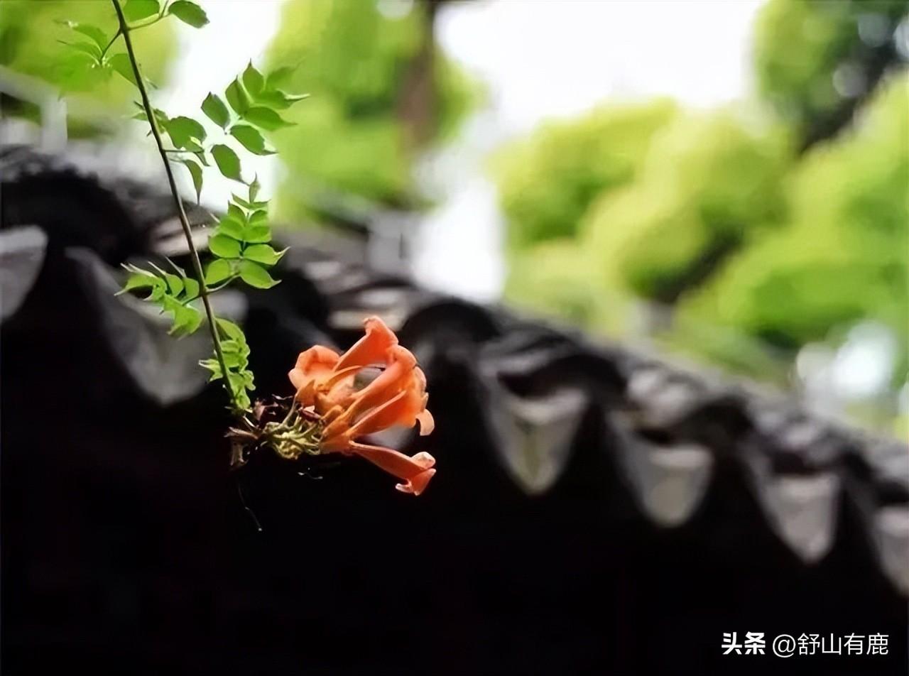 人生四大境界：大智不群，大善无帮，何惧孤步，何惧毁谤