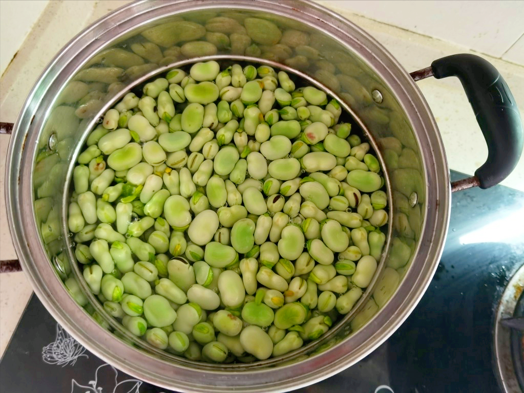 吃不完的蚕豆这样保存，能放一年多，不发霉不变质，跟新鲜的一样