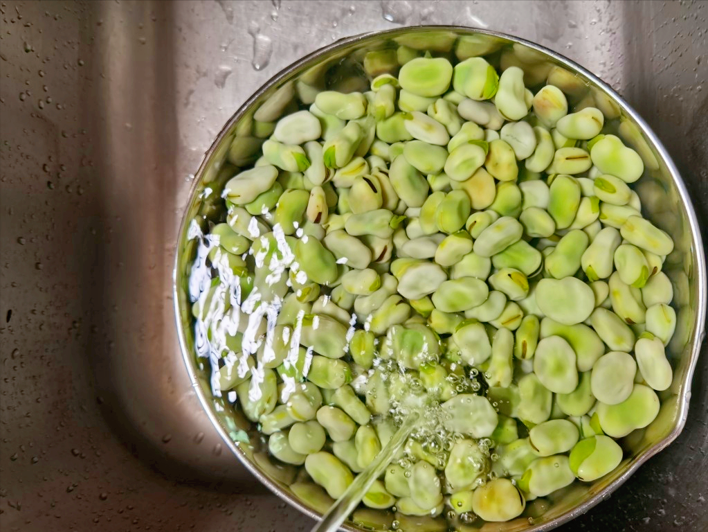 吃不完的蚕豆这样保存，能放一年多，不发霉不变质，跟新鲜的一样
