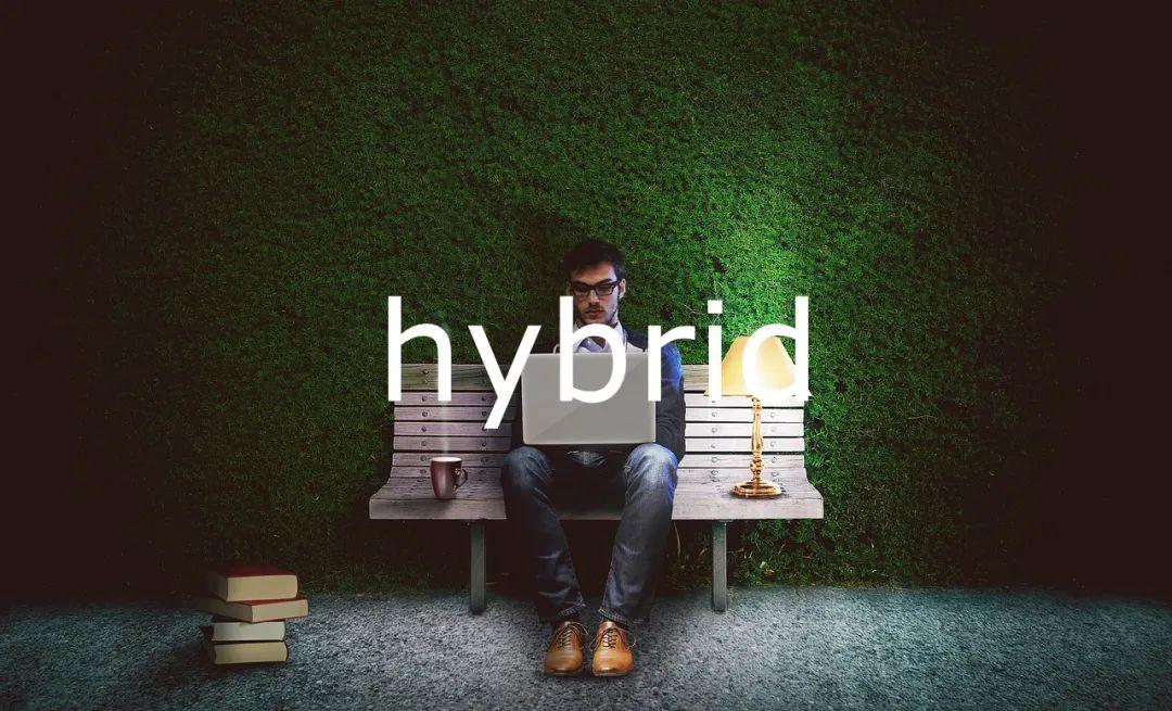 每日单词：hybrid