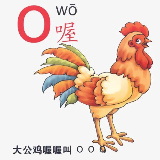 拼音“o”读“欧”还是“窝”？