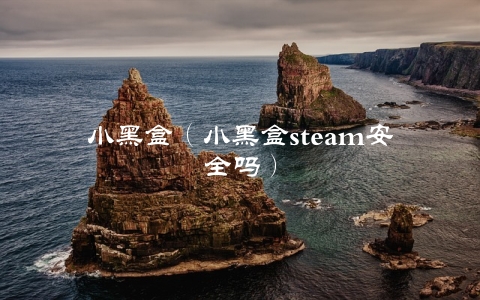 小黑盒（小黑盒steam安全吗）