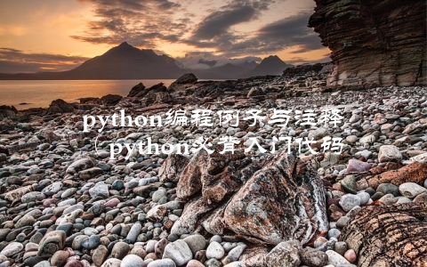 python编程例子与注释（python必背入门代码）