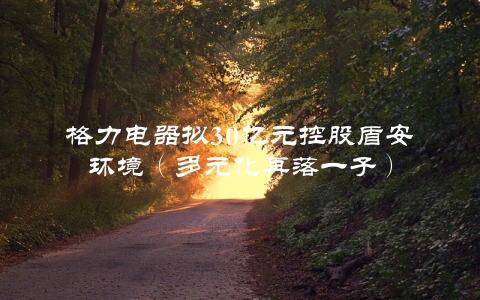 格力电器拟30亿元控股盾安环境（多元化再落一子）