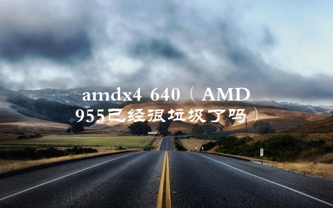 amdx4 640（AMD955已经很垃圾了吗）