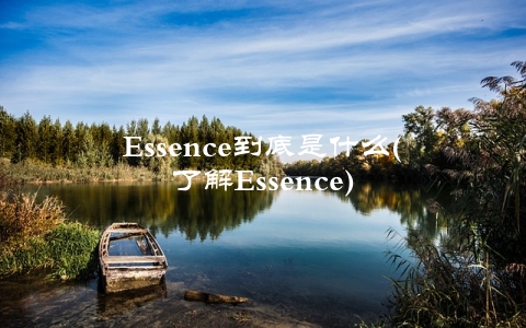 Essence到底是什么(了解Essence)