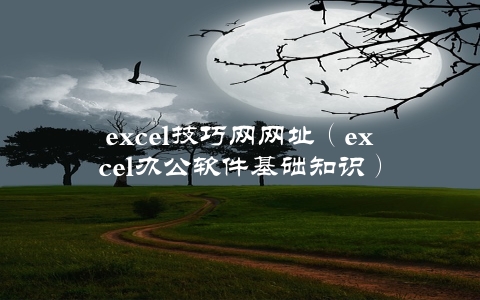 excel技巧网网址（excel办公软件基础知识）