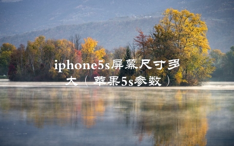 iphone5s屏幕尺寸多大（苹果5s参数）