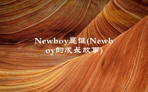 Newboy是谁(Newboy的成长故事)