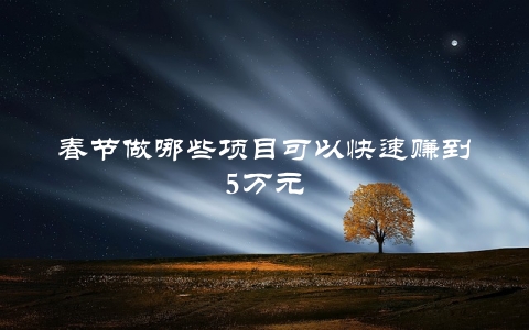 春节做哪些项目可以快速赚到5万元