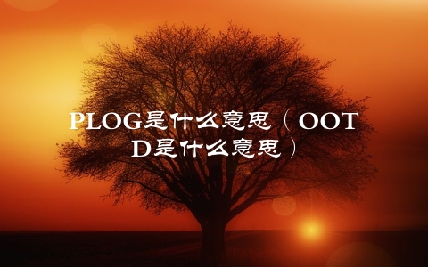 PLOG是什么意思（OOTD是什么意思）