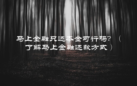 马上金融只还本金可行吗？（了解马上金融还款方式）