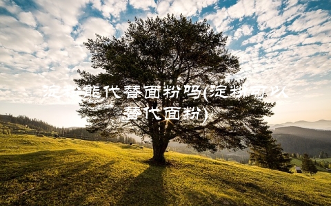 淀粉能代替面粉吗(淀粉可以替代面粉)