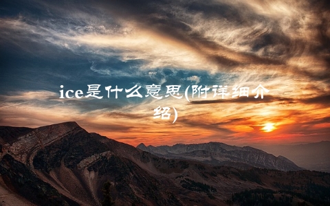 ice是什么意思(附详细介绍)