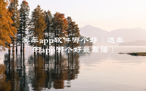 买车app软件哪个好（选车的app哪个好最靠谱）