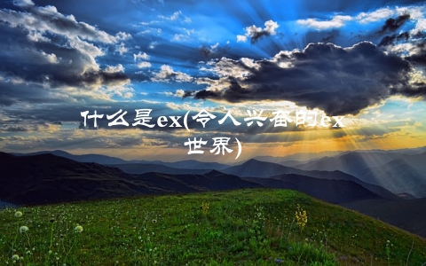 什么是ex(令人兴奋的ex世界)