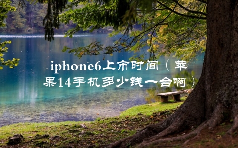 iphone6上市时间（苹果14手机多少钱一台啊）