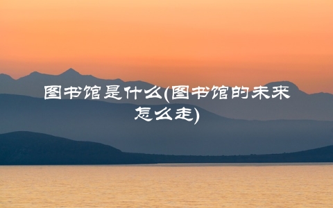 图书馆是什么(图书馆的未来怎么走)