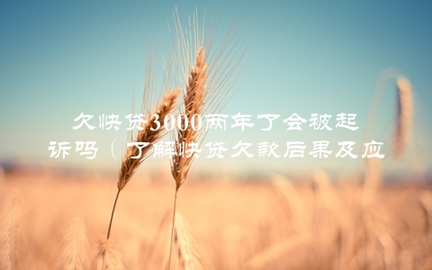 欠快贷3000两年了会被起诉吗（了解快贷欠款后果及应对方法）