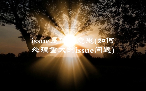 issue是什么意思(如何处理重大的issue问题)