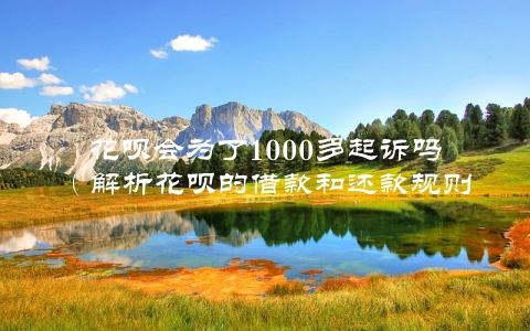 花呗会为了1000多起诉吗（解析花呗的借款和还款规则）