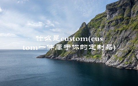 什么是custom(custom一件属于你的定制品)